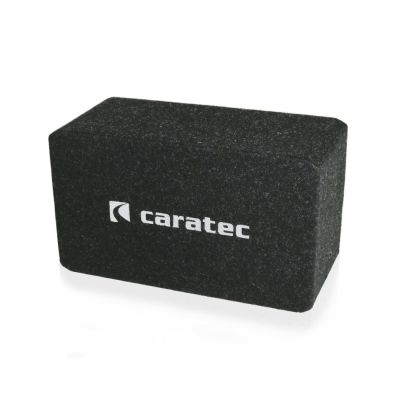 Caratec Audio CAW201 Subwoofer