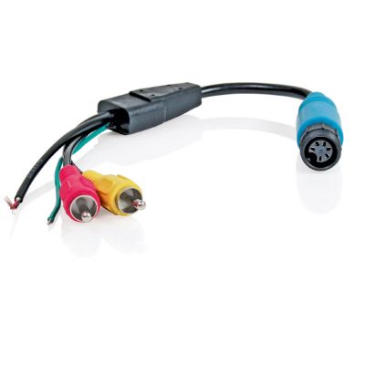 Caratec Safety Monitor-Adapter 6-polige Schraubkupplung auf Cinch